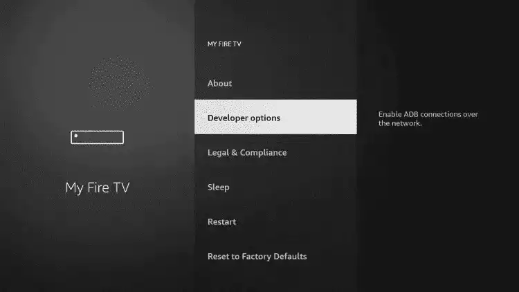 Choose Developer options