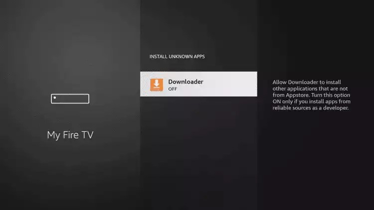 Find the Downloader app and click it.