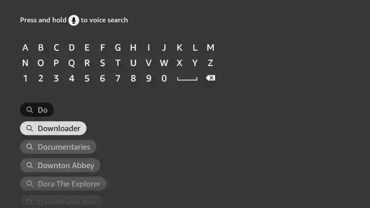 Search for and select Downloader.